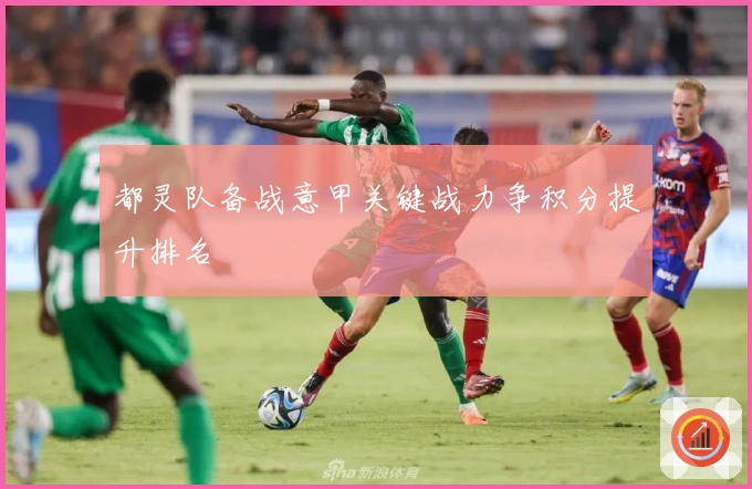 都灵队备战意甲关键战力争积分提升排名