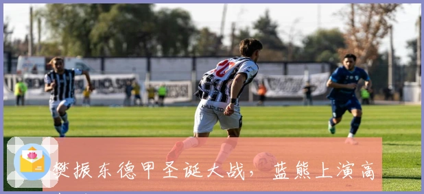 樊振东德甲圣诞大战，蓝熊上演高光时刻